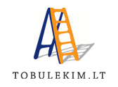 Tobulėkim, UAB