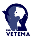 Vetema, UAB