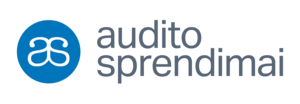 UAB Audito sprendimai
