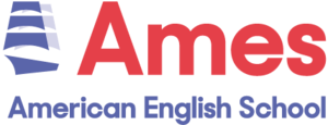 American English School, VŠĮ